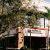 Nicolas Orthodontics